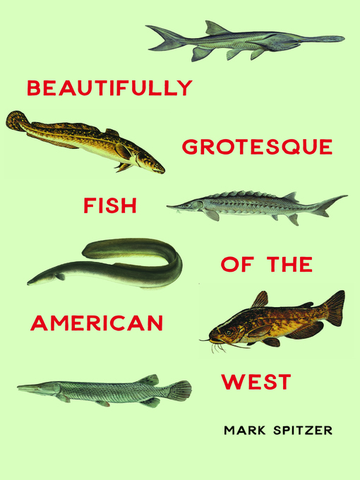 Title details for Beautifully Grotesque Fish of the American West by Mark Spitzer - Available